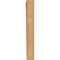 Ekena Millwork Balboa Traditional Smooth Bracket, Western Red Cedar, 3 1/2"W x 16"D x 28"H BKT04X16X28BOA01SWR - alternate 4